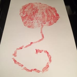 Placenta Print